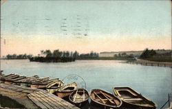 The Lake at Saltwell Park Postcard