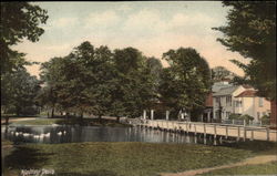 View of Hadley Pond on Fine Day Barnet, United Kingdom Postcard Postcard