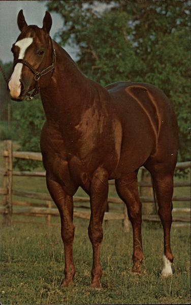 Bar FLower Blackstone Virginia