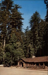 Rangers' Station, Big Basin Redwoods State Park Postcard