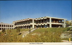 California State College Postcard