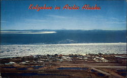 The Arctic Area of the 49th State Kotzebue, AK Postcard Postcard