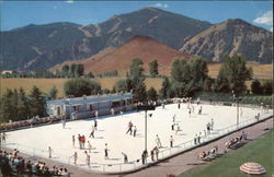 Olympic Size Skating Rink Postcard