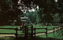 Camp Tecumseh YMCA Outdoor Center Brookston, IN Postcard Postcard