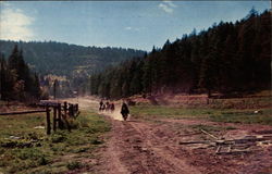 Horseback Riding, Lincoln National Forest Postcard