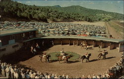 Ruidoso Downs Race Track New Mexico Postcard Postcard