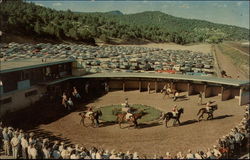 Ruidoso Downs Race Track Postcard