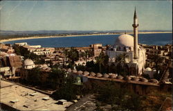 General View of Azrx Postcard