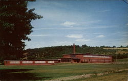 Honeoye Central School New York Postcard Postcard