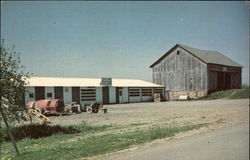 Kelly's Cider N' Apple Farm Postcard