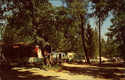 Antlers Trailer Resort Lakehead, CA Postcard Postcard