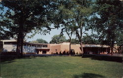 The Holden Amphitheater and Great Ape Exhibit Postcard