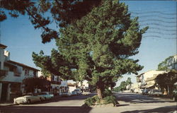 Picturesque Ocean Avenue Carmel, CA Postcard Postcard