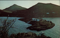 Oyster Pond Yacht Club Postcard