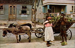 Native Coconut Vendor Postcard