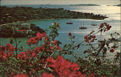 Caneel Bay Plantation, St. John Postcard