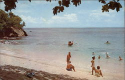 Sunny Caribbee Postcard