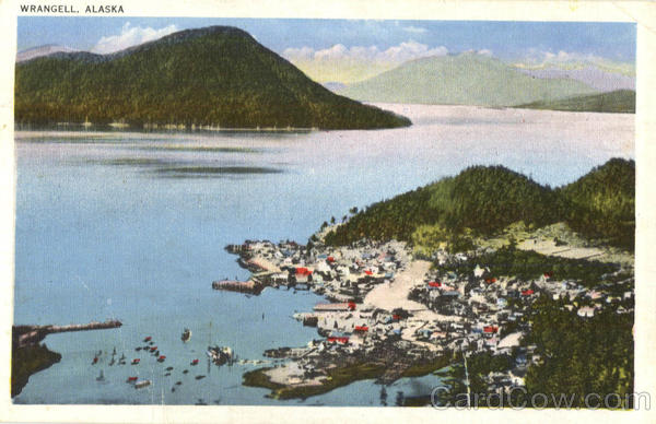 Bridseye View of Wrangell Alaska