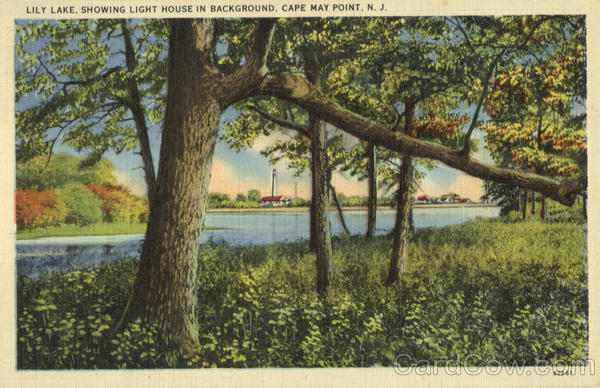 Lily Lake Cape May New Jersey