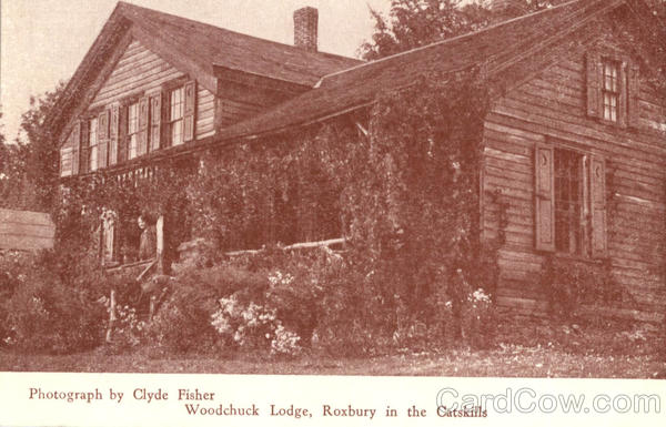 Woodchuck Lodge Roxbury New York