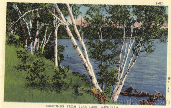 Greetings From Bear Lake Michigan