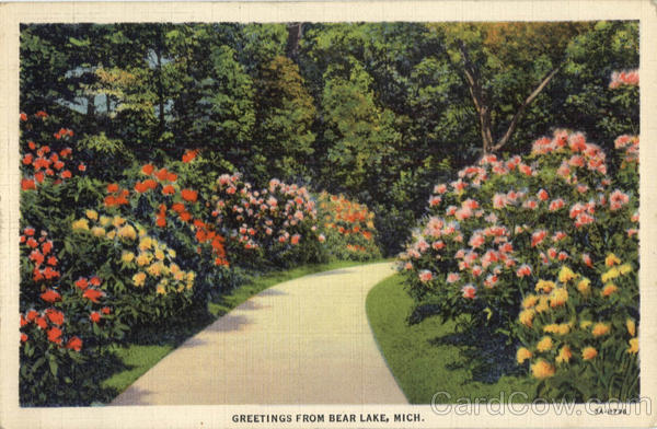 Greetings From Bear Lake Michigan