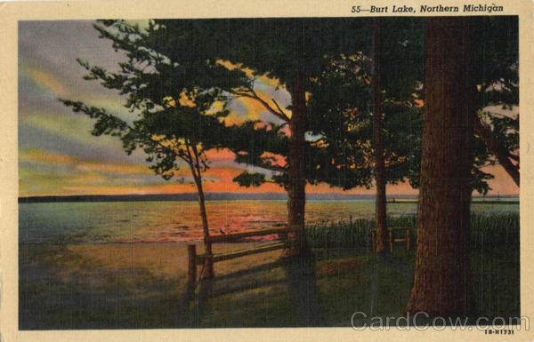 Burt Lake Michigan