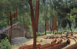 Campfire Bowl Big Basin, CA Postcard Postcard