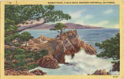 Midway Point, 17 Mile Drive Monterey Peninsula, CA Postcard Postcard