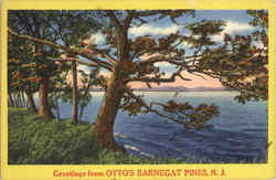 Greetings From Otto's Barnegate Pines Scenic, NJ Postcard Postcard