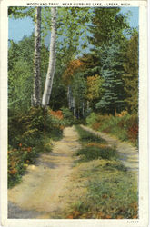 Woodland Trail, Near Hubbard Lake Alpena, MI Postcard Postcard