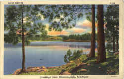 Greetings From Bloomingdale Michigan Postcard Postcard