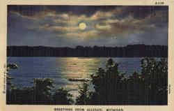 Greetings From Allegan Postcard