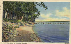 Burt Lake In Northern Michigan Postcard