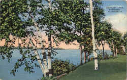 Douglas Lake Mancelona, MI Postcard Postcard