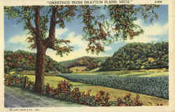 Greetings From Drayton Plains Postcard