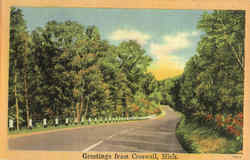 Greetings From Croswell Postcard