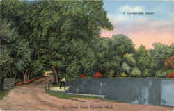 Greetings From Curran Postcard