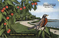 Cherryland Postcard