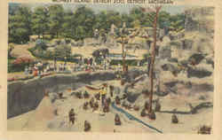 Monkey Island, Detroit Zoo Michigan Postcard Postcard