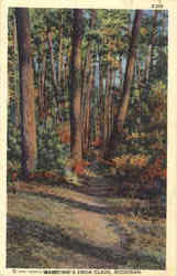 Greetings From Clare Postcard