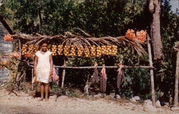 Little Fruit Vendor Jamaica