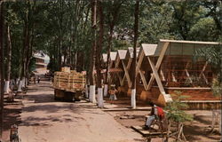 Salon de Baile y Restaurant, Laguna de Nogales Postcard