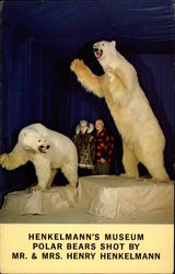 Henkelmann's Museum. Polar Bears Shot by Mr. & Mrs. Henry Henkelmann Postcard