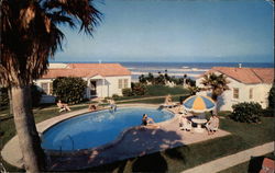 Florida Shores Postcard