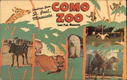 Greetings from Como Zoo, Saint Paul, Minnesota Postcard