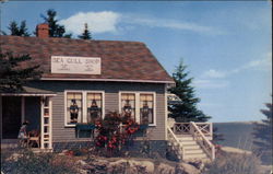 The Sea Gull Shop by the Lighthouse Postcard