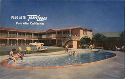 Pool Scene, Travelodge Palo Alto, CA Postcard Postcard