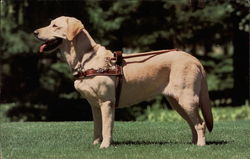 Stock #280237 Thumbnail