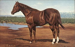 Stock #280296 Thumbnail